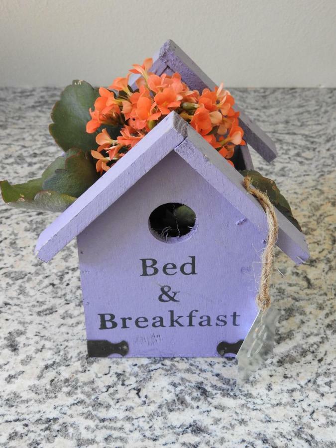 Sweet Home Suite Hallerndorf Екстер'єр фото